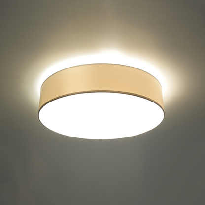 Ceiling lamp ARENA 55 white